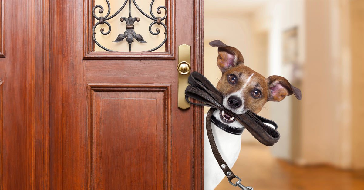 Schätzwert online oder Preis aus der Praxis? So gelingt die Immobilienbewertung