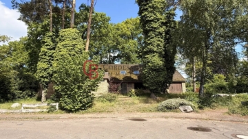 Kernsanierungsbedürftiges Einfamilienhaus mit Sauna und Pool sowie Einliegerwohnung im OG, 27283 Verden (Aller), Einfamilienhaus