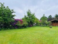 Garten linke Seite